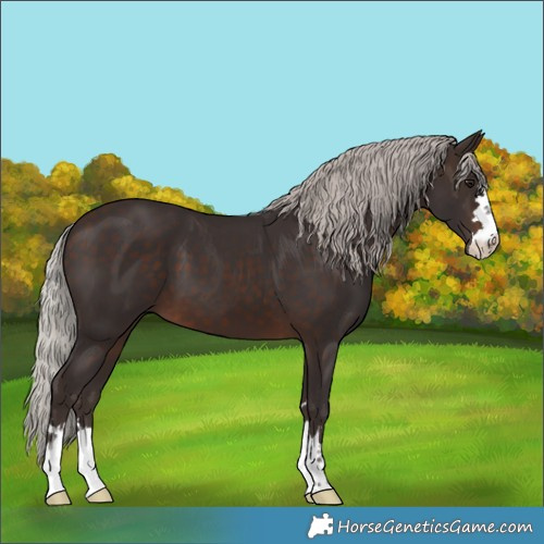 Horse Color:Silver Brown 