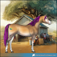 Horse Color:Painted Buckskin Onyx 