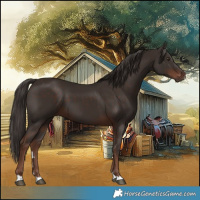 Horse Color:Liver Chestnut 