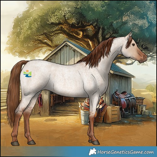 Horse Color:Red Dun Roan 