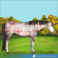 Horse Color:Plaid  White Spotted Brown Ice 