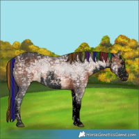 Horse Color:Void Painted White Spotted Brown Ice Rabicano 
