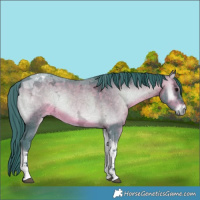 Horse Color:Watercolor Brown Ice Onyx Tobiano 