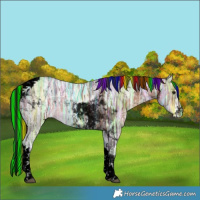 Horse Color:Void Painted Brown Ice Tobiano 