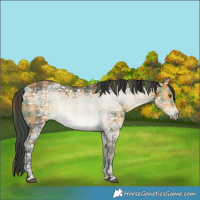 Horse Color:Void Plaid  White Spotted Buckskin Ice 