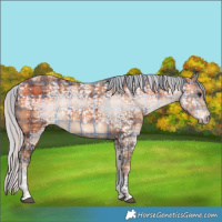 Horse Color:Plaid  Silver Brown Ice Tobiano 