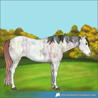 Horse Color:Plaid  Brown Ice Splash Tobiano Frame 