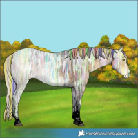Horse Color:Void Painted Silver Buckskin Ice Tobiano 