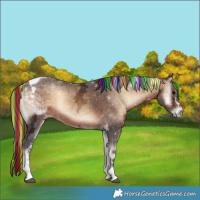 Horse Color:Painted Brown Ice Onyx Tobiano 