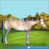 Horse Color:Painted Buckskin Ice Onyx Tobiano 