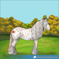Horse Color:Gold Champagne Near Leopard