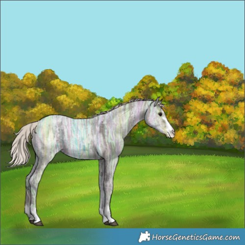 Horse Color:Silver Grullo Ice 