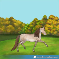 Horse Color:White Spotted Brown Pearl Dun Varnish Rabicano
