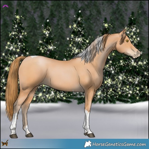 Horse Color:Bay Pearl Tobiano 