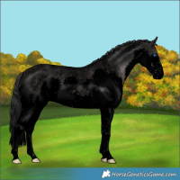 Horse Color:Void Platinum Brown Roan Dun Splash 