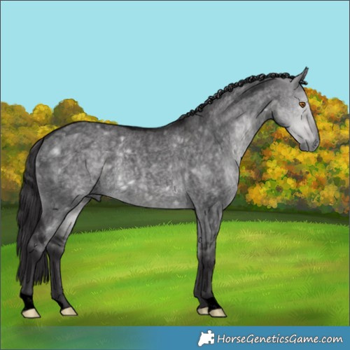 Horse Color:Void Platinum Buckskin Roan Dun 