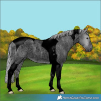Horse Color:Void Platinum Silver Buckskin Roan Dun Tobiano 