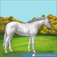 Horse Color:Platinum Silver Brown Roan Tobiano 