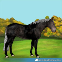 Horse Color:Void Platinum Silver Brown Roan Tobiano