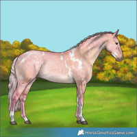 Horse Color:Platinum Watercolor White Spotted Silver Brown Dun Tobiano 