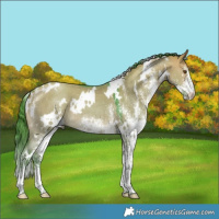 Horse Color:Platinum Watercolor White Spotted Brown Dun 