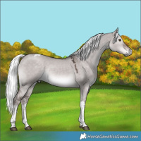 Horse Color:Platinum White Spotted Liver Red Dun Mushroom Tobiano Rabicano 