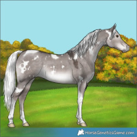 Horse Color:Platinum White Spotted Liver Red Dun Mushroom Tobiano 