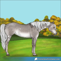 Horse Color:Platinum White Spotted Liver Red Dun Mushroom Rabicano 