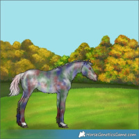Horse Color:Nacre Silver Brown Chinchilla 