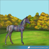 Horse Color:Nacre Silver Black Chinchilla 