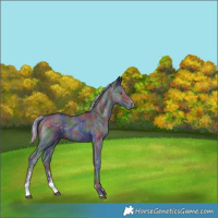 Horse Color:Nacre Silver Black Chinchilla Sabino