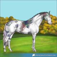 Horse Color:Nacre White Spotted Silver Black Chinchilla 