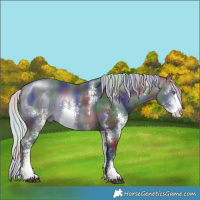 Horse Color:Nacre Silver Brown Chinchilla Sabino Rabicano