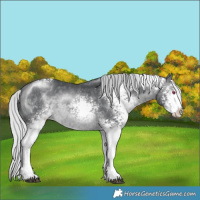 Horse Color:White Spotted Silver Brown Chinchilla 