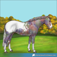 Horse Color:Nacre Silver Grullo Snowcap Rabicano 