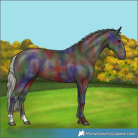 Horse Color:Nacre Silver Brown 