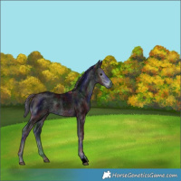 Horse Color:Void Nacre Smoky Blue Chinchilla Roan 