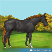 Horse Color:Platinum Painted Smoky Black 