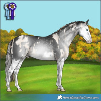 Horse Color:Smoky Blue Roan Pearl Splash and Gray White Spotted Liver Chestnut Splash Appaloosa