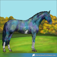 Horse Color:ERROR: UNKNOWN ANOMALY