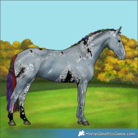 Horse Color:ERROR: UNKNOWN ANOMALY