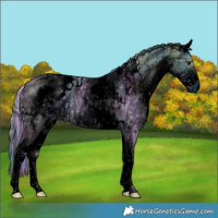 Horse Color:ERROR: UNKNOWN ANOMALY