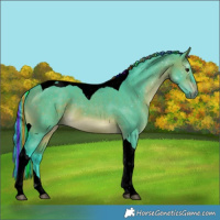 Horse Color:Void Painted Watercolor Brown Dun Tobiano 