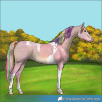 Horse Color:Painted Watercolor Bay Dun Tobiano 