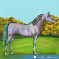 Horse Color:Nacre Watercolor Bay Dun Tobiano 