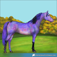 Horse Color:Void Nacre Watercolor Brown Dun Tobiano 