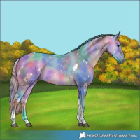 Horse Color:Nacre Watercolor White Spotted Bay Dun Tobiano