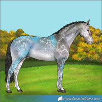 Horse Color:Buckskin Ice Onyx 
