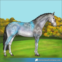 Horse Color:Buckskin Ice Onyx 