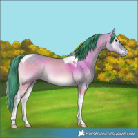 Horse Color:Watercolor Buckskin Onyx Tobiano 